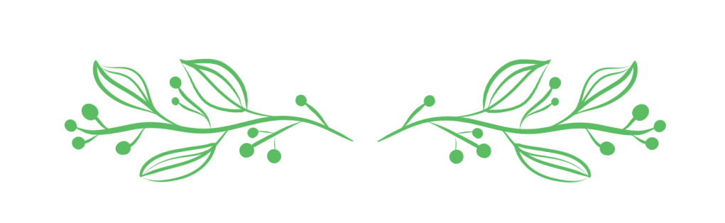 Leaves Divider PNG Images